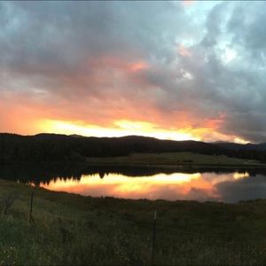 Meet your Posher, Chloe